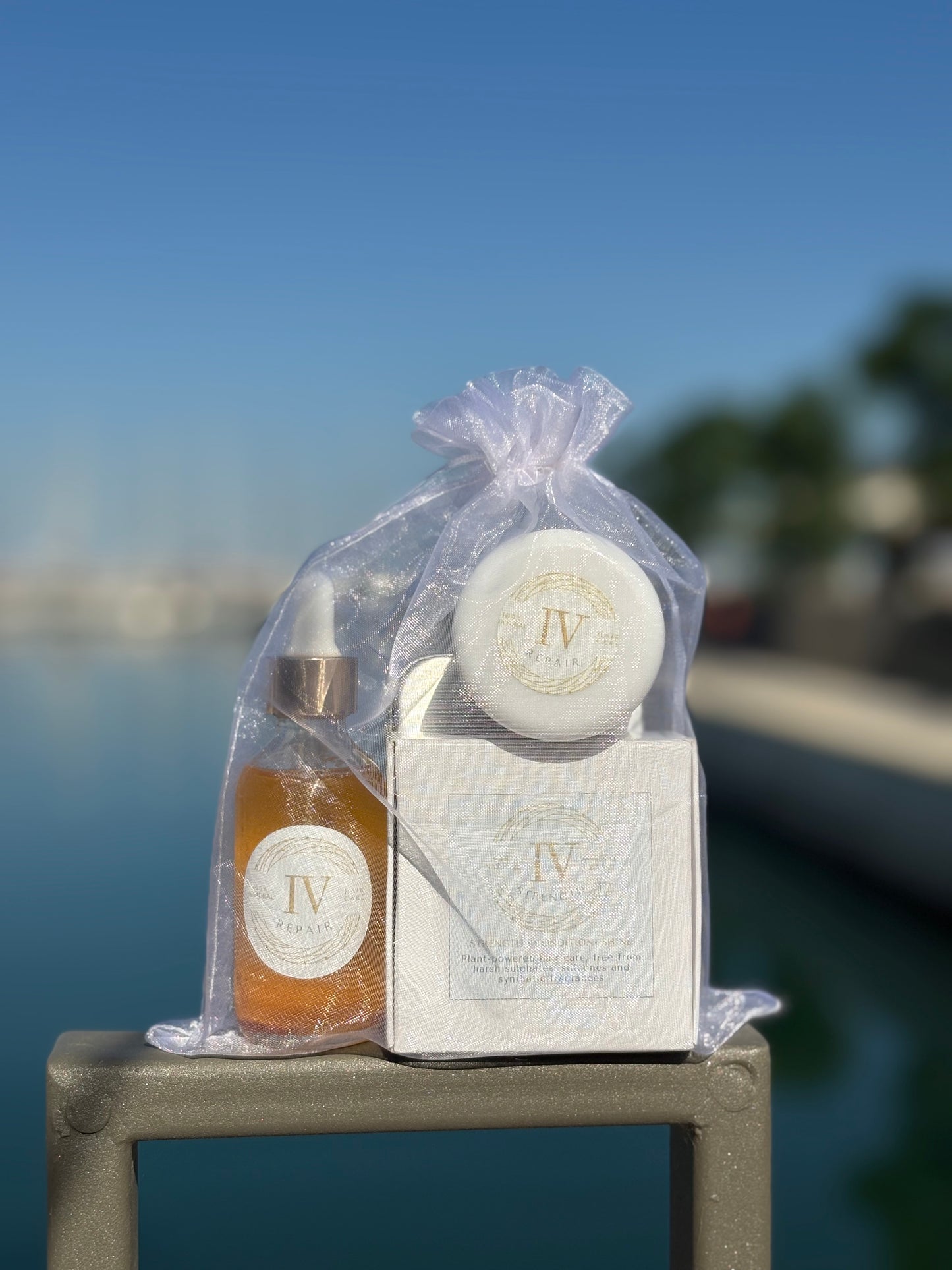 IV Travel Set